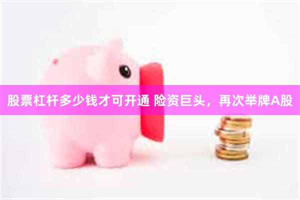 股票杠杆多少钱才可开通 险资巨头，再次举牌A股