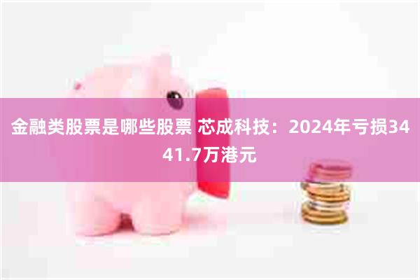 金融类股票是哪些股票 芯成科技：2024年亏损3441.7万港元