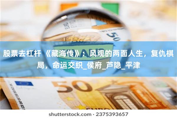 股票去杠杆 《藏海传》：风观的两面人生，复仇棋局，命运交织_侯府_芦隐_平津