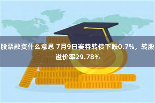 股票融资什么意思 7月9日赛特转债下跌0.7%，转股溢价率29.78%