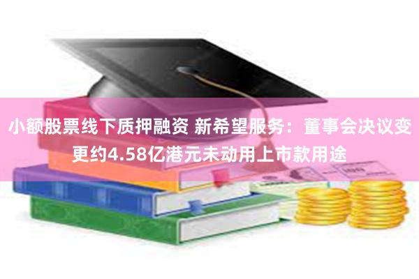 小额股票线下质押融资 新希望服务：董事会决议变更约4.58亿港元未动用上市款用途