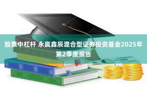股票中杠杆 永赢鑫辰混合型证券投资基金2025年第2季度报告