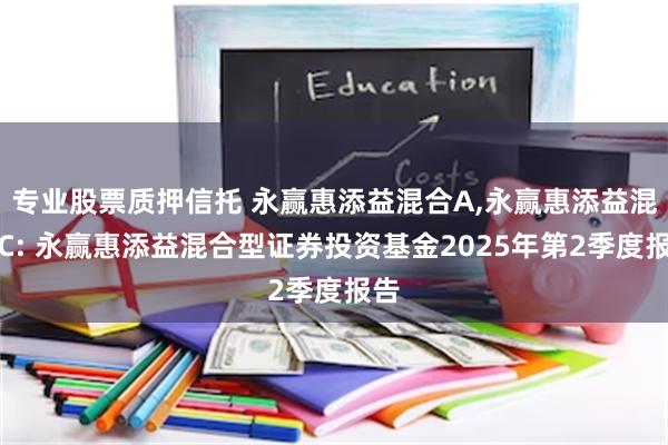 专业股票质押信托 永赢惠添益混合A,永赢惠添益混合C: 永赢惠添益混合型证券投资基金2025年第2季度报告