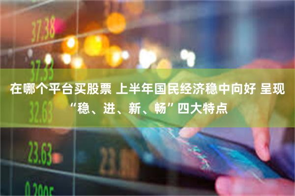 在哪个平台买股票 上半年国民经济稳中向好 呈现“稳、进、新、畅”四大特点