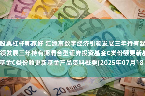 股票杠杆哪家好 汇添富数字经济引领发展三年持有混合C: 汇添富数字经济引领发展三年持有期混合型证券投资基金C类份额更新基金产品资料概要(2025年07月18日更新)
