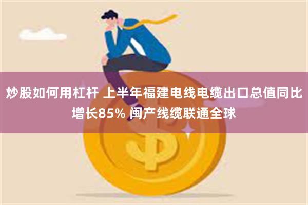 炒股如何用杠杆 上半年福建电线电缆出口总值同比增长85% 闽产线缆联通全球