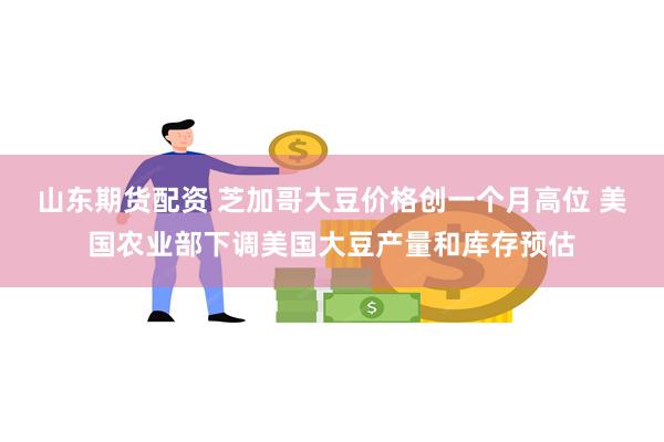 山东期货配资 芝加哥大豆价格创一个月高位 美国农业部下调美国大豆产量和库存预估