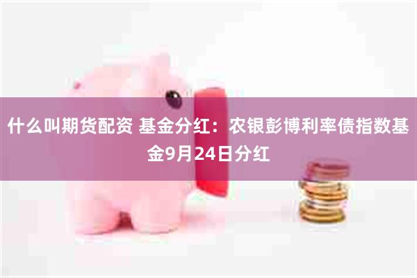 什么叫期货配资 基金分红：农银彭博利率债指数基金9月24日分红
