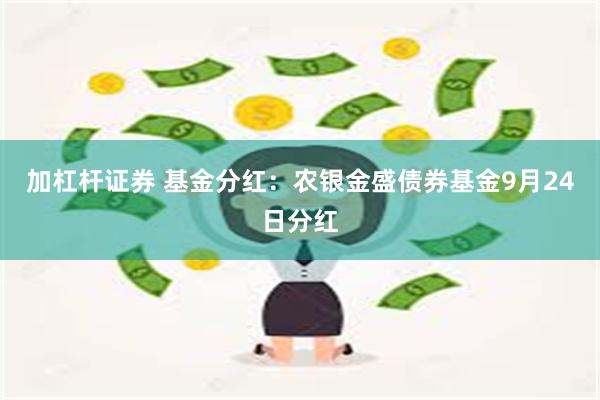加杠杆证券 基金分红：农银金盛债券基金9月24日分红